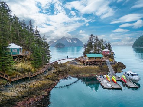 Orca Island Cabins in Seward, Alaska; Whale Watching; Kayaking - Orca Island Cabins Orca Island Alaska, Orca Island, Cabin Activities, Seward Alaska, Alaska Vacation, Kayak Boats, Kenai Fjords, Bay Photo, Orcas Island