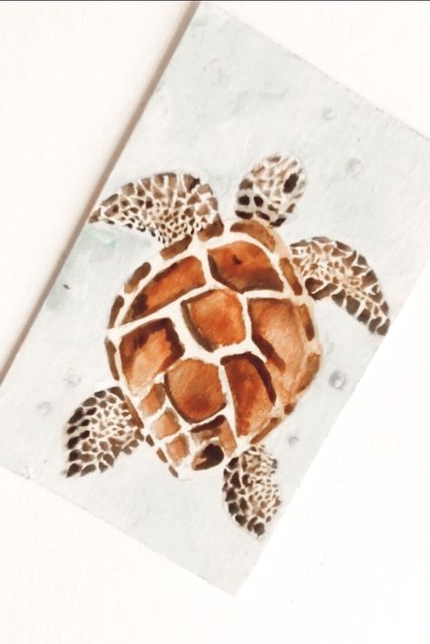 Aquatic Watercolor, Waterpaint Ideas, Turtle Watercolor Painting, Sea Turtle Drawing, Turtle Watercolor, Turtle Drawing, Flamingo Painting, Gcse Art Sketchbook, Coastal Painting