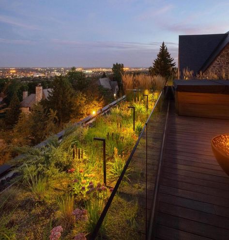 They Built A Rooftop Garden And Lounge Area On This Home To Enjoy The Views Over Everything Rooftop Lighting Ideas, Rooftop Lighting, Ipe Wood Deck, Rooftop Terrace Design, Rooftop Design, Rooftop Lounge, Urban Lighting, Rooftop Deck, Terrace Design