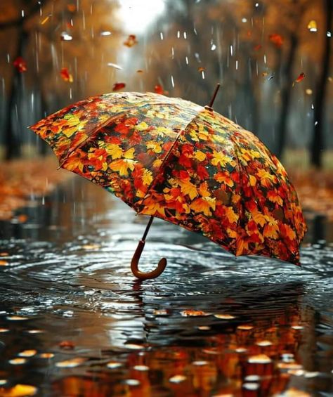 November Pics, Umbrella Aesthetic, Fall Thanksgiving Decor, Thanksgiving Decor, A Rainy Day, Autumn Day, Fall Thanksgiving, Happy Sunday, Thanksgiving Decorations