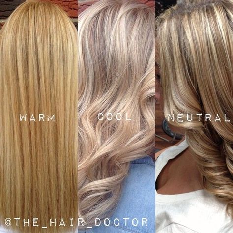 Need help deciphering exactly what the difference is between warm, cool and neutral blondes? Try putting together a compilation of your own work to show your clients the difference. Here's a visual guide to show you the differences. Different Color Blondes, Tmavý Blond, Neutral Blonde, Cool Blonde, Hair Color And Cut, Hair Coloring, Great Hair, Blonde Hair Color, Hair Dos