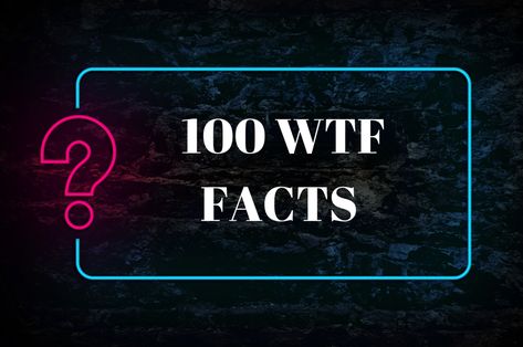 Random Fun Facts Funny, Random Fun Facts Mind Blowing, Pointless Facts, Funny Weird Facts, Random Fun Facts, Funny Facts Mind Blowing, Silly Facts, Fictional Languages, Useless Facts