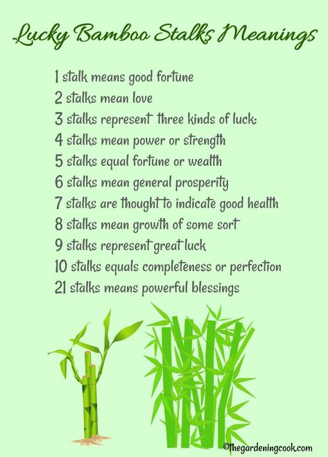 Definition of the stalks of lucky bamboo - each combination means something different for feng shui. #luckybamboo #fengshui #homedecor #indoorplants Lucky Bamboo Care, Plant Growing Tips, Bamboo Plant Care, Simple Garden Ideas, Plant Meanings, Dracaena Sanderiana, Feng Shui Plants, Lucky Bamboo Plants, Bamboo Care