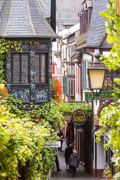 Street view, Rudesheim, Rhine valley, Hesse, Germany Rudesheim Germany, Rhine Valley, European Town, Narrow Street, Photography Street, Psychic Protection, Victorian Home, Protection Spells, Beaux Villages