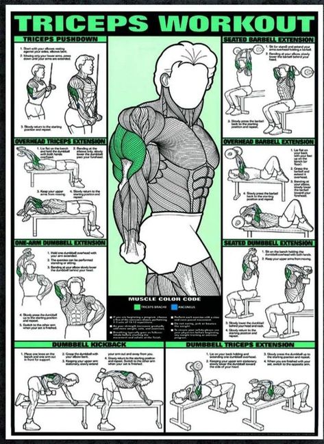 Pin on gym mens daily routine Tricep Workout Gym, Exercises For Arms, Big Biceps Workout, Chest And Tricep Workout, Shoulder Workout Routine, Gym Workout Apps, Chest Workout For Men, Bicep And Tricep Workout, Fit And Fabulous