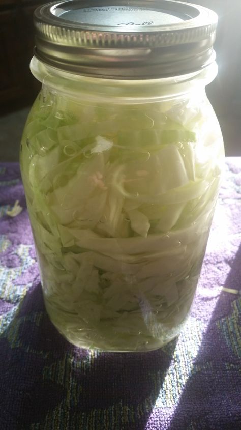 Cabbage Canning, Canned Cabbage, Canning Cabbage Recipes, Canning Sauerkraut, Canning Cabbage, Easy Sauerkraut, Canning Soup Recipes, Fermented Recipes, Fermenting Foods