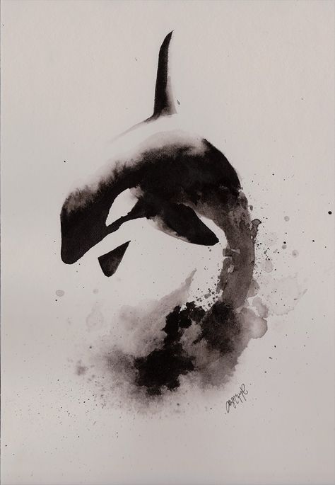 52hz Whale, Orca Art, Orca Tattoo, Whale Tattoo, Whale Drawing, Whale Tattoos, Ocean Tattoos, Orca Whale, Shark Tattoos