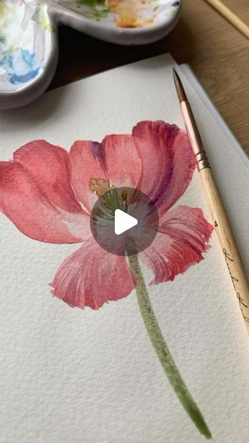 Kanchan Kaul on Instagram: "Want to learn more tips for painting aesthetic watercolor florals? Then join my Skillshare classes, where I teach my process in a easy to follow step by step process. Link in bio :) (which even gives you a month of free Skillshare premium membership to try!)

#watercolor_gallery
#watercolorlove
#illustrationsketch
#watercolor_daily 
#illustration_best
#watercolorart
#worldwatercolorgroup
#artjournal
#floralsyourway
#botanicalart
#watercolors
#botanicalartlovers
#aquarelle
#Watercolorflower

#watercolor_Painting
#sketchbooktour
#acuarela
#flowerpainting
#watercolorbeginner
#watercolorsketchbook
#worldwatercolormonth
#botanicalpainting
#kanchankaulbrushes
#watercolorpainting" Daily Illustration, Watercolour Florals, Watercolor Beginner, Sketchbook Tour, Skillshare Classes, Watercolor Tips, Watercolor Journal, Watercolor Sketchbook, Watercolor Flower Art