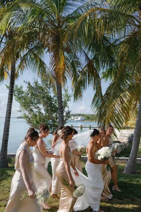 tropical wedding inspiration, intimate wedding, colorful film photography, colorful wedding, colorful beach wedding, film wedding photography, destination wedding, destination wedding photographer, traveling wedding photography, the bahamas, bahamas vibe, bahamian wedding inspiration, long island bahamas, the cape resort the bahamas, bridal party Destination Wedding Bahamas, Island Wedding Aesthetic, Bahamian Wedding, Bahama Wedding, Bahamas Wedding Venues, Colorful Beach Wedding, Long Island Bahamas, Bahamas Wedding, Pool Wedding