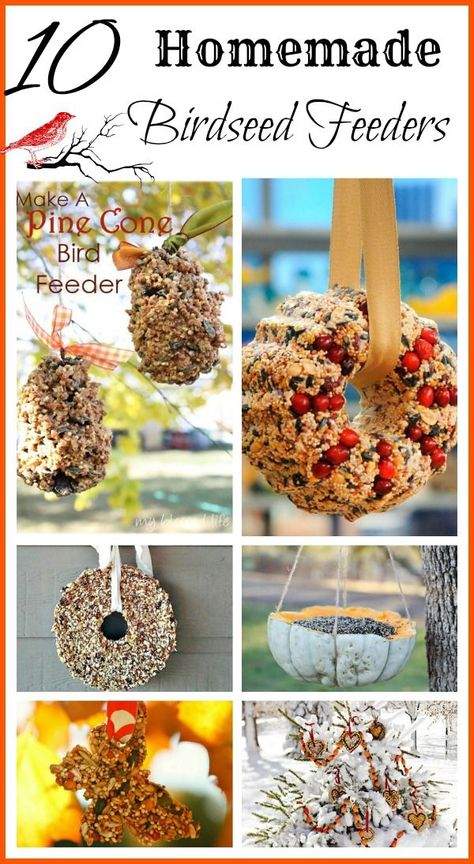 Birdseed Feeders, Homemade Birdseed, Feeding Birds In Winter, Pine Cone Bird Feeder, Bird Seed Ornaments, Bird Seed Feeders, Homemade Bird Feeders, Bird Treats, Diy Bird Feeder