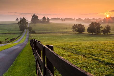 ***Rural sunset (Kentucky) by Rick Scalf Future Farms, Horse Farm, Horse Ranch, Country Landscaping, Country Scenes, Tim Mcgraw, Home Again, Horse Barns, Back Road