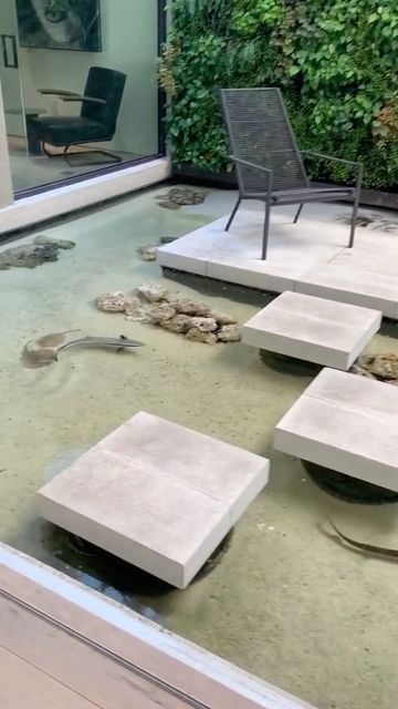 Animal Learning, Garden Pond Design, Home Aquarium, Shark Lover, Pond Design, Fish Ponds, Pet Fish, Read A Book, Fish Pond