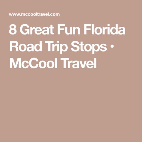 8 Great Fun Florida Road Trip Stops • McCool Travel Florida Road Trip, Blue Springs State Park, Ocala National Forest, Perfect Road Trip, North Florida, Cocoa Beach, Road Trip Planning, Old Florida, Road Trip Fun