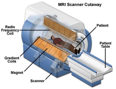 tesla Nuclear Magnetic Resonance, Addisons Disease, Mri Scan, Biomedical Engineering, Magnetic Resonance Imaging, Ct Scan, Medical Tests, Magnetic Resonance, Medical Imaging