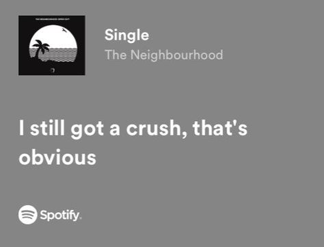 Crush Song Lyrics, Crush Lyrics, Songs That Describe Me, Relatable Lyrics, Meaningful Lyrics, Rap Lyrics Quotes, Song Lyric Quotes, Spotify Lyrics, Rap Lyrics