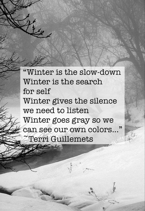 Winter is the slow-down
Winter is the search for self
Winter gives the silence we need to listen
Winter goes gray so we can see our own colors...
~Terri Guillemets Slow Winter Aesthetic, Winter Rest Quotes, Wintering Quotes, Winter Wellness Aesthetic, Winter Is Coming Quotes, January Quotes Inspirational, December Quotes Winter, Winter Quotes Inspirational, Snowless Winter