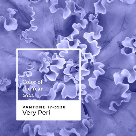 2022: The year of the Veri Peri Colour. If you are wondering why a purple hue has a veri spicy name, think again. This colour derived from a small flower called the Periwinkle. "PANTONE 17-3938 Very Peri displays a spritely, joyous attitude and dynamic presence that encourages courageous creativity and imaginative expression." - Leatrice Eiseman Shades Of Periwinkle, Periwinkle Color Combinations, Veri Peri, Periwinkle Purple, Inspiration Journal, Periwinkle Color, Color Schemes Colour Palettes, Very Peri, Wedding Day Inspiration