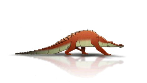 awesomation, crocodile, nature, cartoon, walking, animation, walc cycle, gif Animal Animation, Walking Animation, Animation References, Walk Cycle, Run Cycle, Animation Sketches, Animated Animals, Character Designer, Animation Tutorial