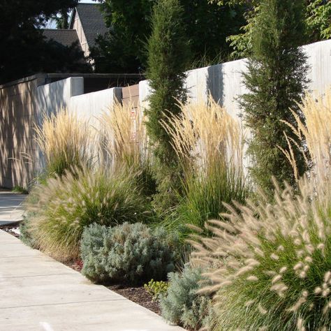 Simple Fence, Creative Fence, Ornamental Grass Landscape, Landscaping Along Fence, Privacy Landscaping, Innovative Materials, Fountain Grass, Grasses Landscaping, Front Landscaping