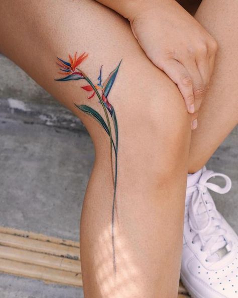 Small bird of paradise leg tattoo Bord Of Paradise Tattoo, Bird Of Paradise Back Tattoo, Birds Of Paradise Flower Tattoo, Bird Of Paradise Plant Tattoo, Tropical Plants Tattoo, Paradise Bird Tattoo, Birds Of Paradise Plant Tattoo, Tattoo Bird Of Paradise, Tropical Tattoo Ideas