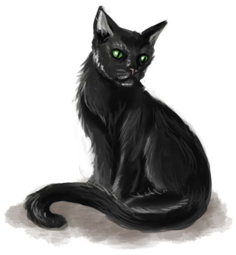 Dnd Animals, Wild Shape, Black Cat Art, Cat Character, Dnd Art, Fantasy Rpg, Dnd Characters, Roleplaying Game, Green Eyes