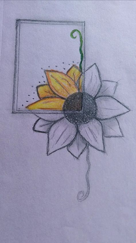 Senary Drawing, Desenhos Fáceis A Lapis, Circle Drawing Ideas, Sunflower Drawings, Pencil Art For Beginners, Easy Drawing Ideas For Beginners, Odyssey Art, Drawing Ideas For Beginners, Beginners Drawing