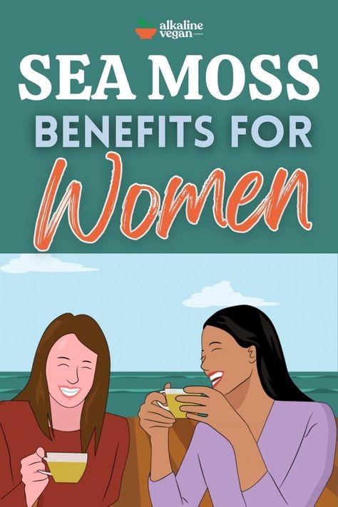 Benefit Of Sea Moss, Organic Sea Moss, What Is Sea Moss Good For, Flavored Seamoss Gel Recipes, Raw Sea Moss, Seaweed Benefits Health, Health Benefits Of Sea Moss, Benefits Of Irish Sea Moss, Sea Moss Powder Recipes