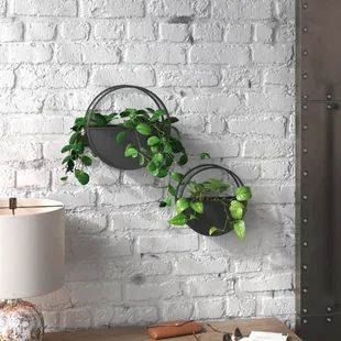 Wayfair | Wall Mounted Planters You'll Love in 2022 Plastic Hanging Planters, Wall Planters Outdoor, Metal Wall Planters, Indoor Plant Wall, Wall Planters Indoor, Wall Mounted Planters, Wall Planters, Hanging Plant Wall, Iron Plant