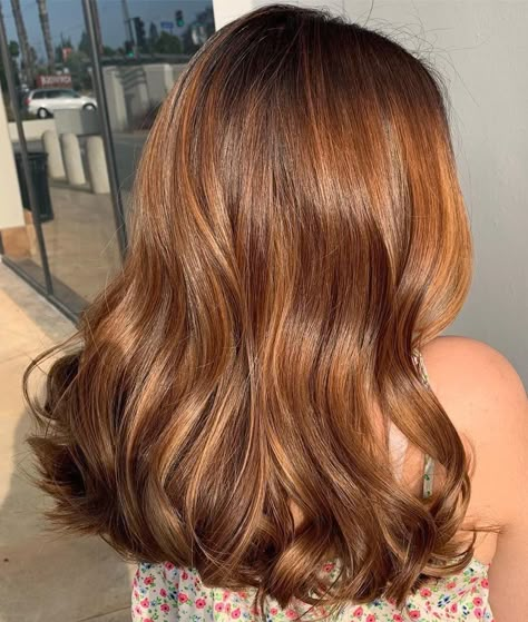 Chestnut Brown Hair Color, Hair Color Brown Chestnut, Chestnut Brown Hair, Reddish Brown Hair, Chestnut Hair, Chestnut Hair Color, Honey Brown Hair, Hair Color Auburn, Brown Hair Color