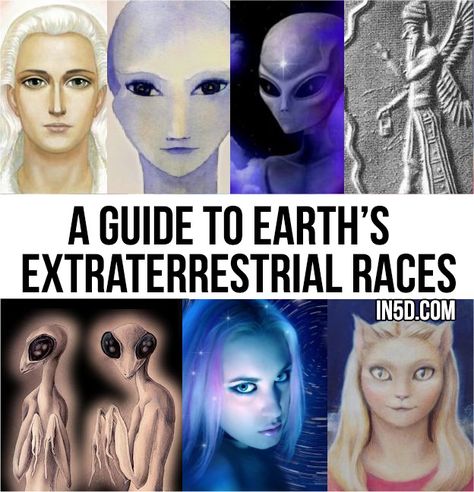 Types Of Aliens, Ancient Astronaut, Arte Alien, The Boogeyman, Aliens And Ufos, Alien Races, Ancient Egyptian Art, Crop Circles, Alien Creatures