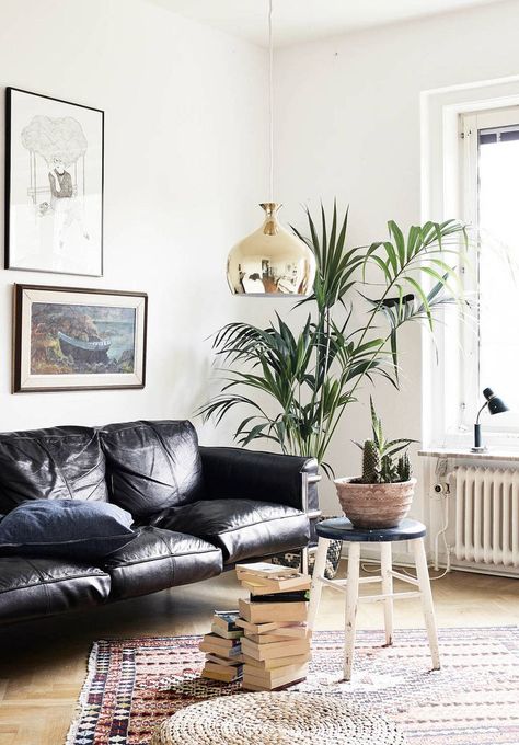 How To Decorate A Living Room With A Black Leather Sofa Black Leather Couches, Black Leather Sofa Living Room, Leather Couch Decorating, Black Couch Living Room, Black Sofa Living Room, Black Leather Couch, Leather Sofa Living, Leather Couches, Leather Couches Living Room