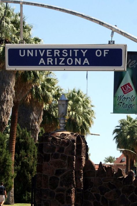 Uofa Wildcats Arizona, University Of Arizona Aesthetic, U Of Arizona, Arizona Attractions, Arizona Aesthetic, Arizona University, Best Colleges, Living In Arizona, The University Of Arizona