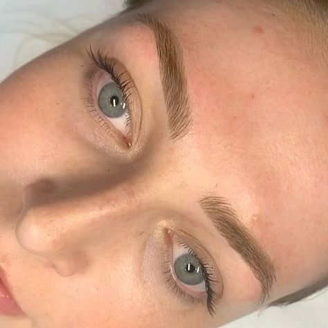 Dark Blonde Microbladed Eyebrows, Blonde Henna Brows, Soft Powder Brows, Dark Brows With Blonde Hair, Eyebrow Inspo Natural, Blonde Hair Brown Eyebrows, Blonde Microblading Eyebrows, Microblading Inspiration, Blonde Microblading