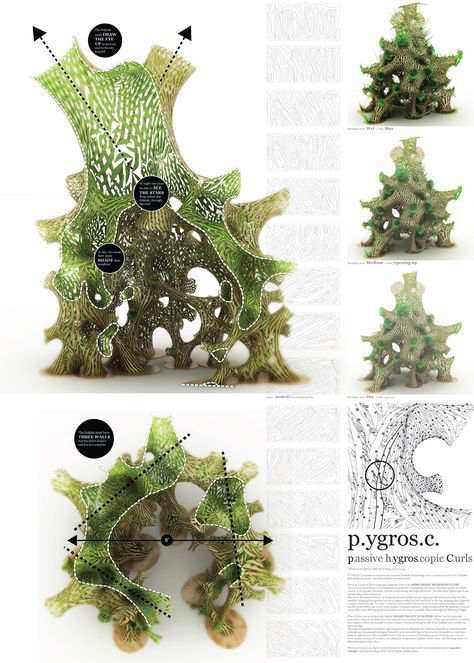 Biomimicry Architecture, Shell Structure, Parametric Architecture, Bio Art, Art Appliqué, Generative Design, Parametric Design, Green Architecture, Concept Architecture