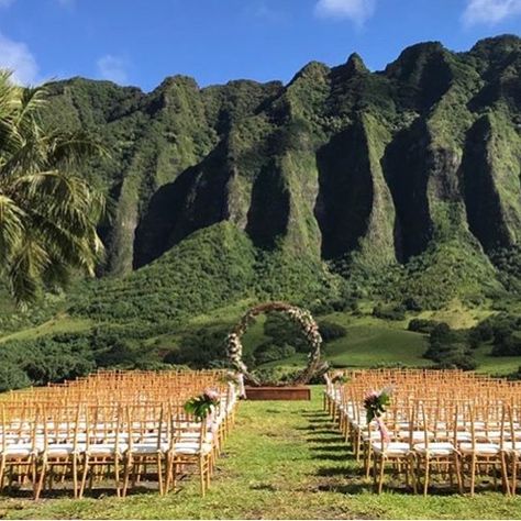 Plant Hawaii on Instagram: “Reminiscing and just astonished at the God given beauty this island is blessed with. #kualoaranch” Hawaiian Wedding Themes, Chivari Chairs, Outfitinspo Style, Champagne Collection, Hawaii Aesthetic, Hawaii Beach Wedding, Wedding Venues Hawaii, Ranch Weddings, Kualoa Ranch