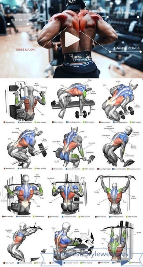 905056c1ac1dad141560467e0a99e1cf Trening Sztuk Walki, Gym Workout Chart, Trening Fitness, Muscle Building Workouts, Weight Training Workouts, Health And Fitness Articles, Body Workout Plan, Workout Plan Gym, Chest Workouts