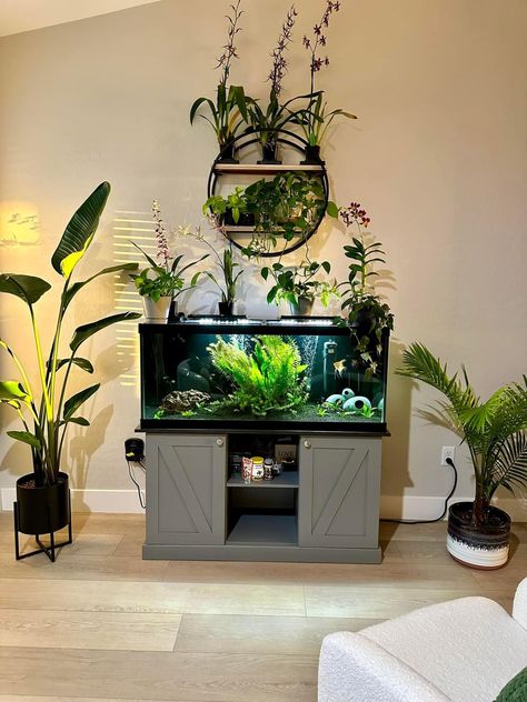 Fish Tank In Dining Room, Plants Above Fish Tank, Plant And Aquarium Room, Home Aquarium Aesthetic, Aquatic Turtle Tank Ideas, Aquarium Shelf, Guppy Tank, Community Fish Tank, Aquatic Turtle Tank