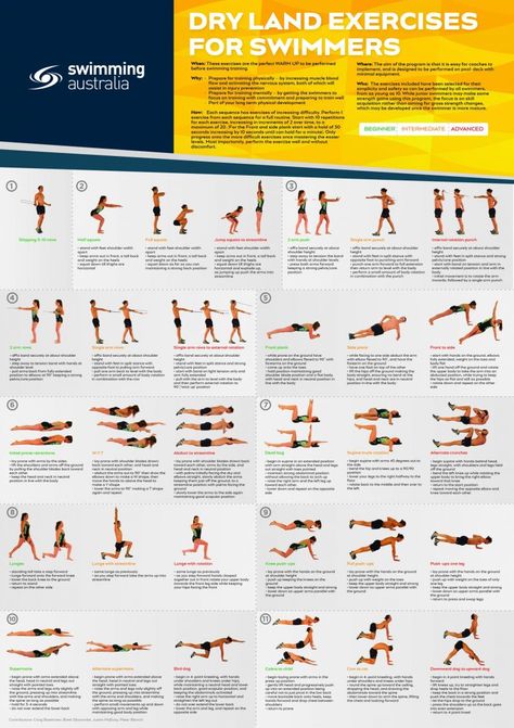 Swimming Dry Land Workouts, Swimming Gym Workout, Land Training For Swimmers, Diet For Swimmers, Exercises For Swimmers Dryland, Swimmers Workout Exercises, Pre Swim Stretch, Strength Training For Swimmers, Weight Training For Swimmers