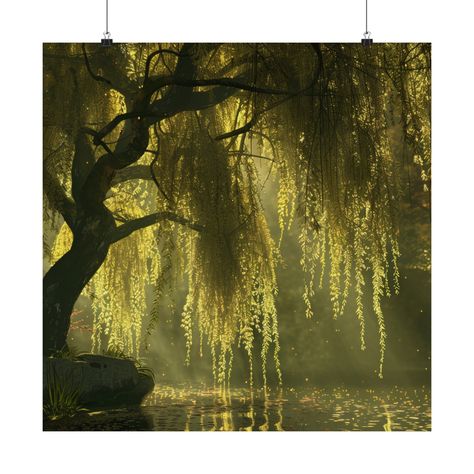 Willow Tree Painting, Willow Tree Art, Sentimental Art, Willow Art, A Willow Tree, Black Willow, Massage Place, Atmospheric Lighting, Weeping Willow Tree