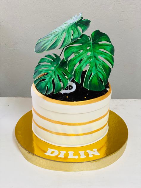 Birthday Cake For Plant Lover, Plant Theme Cake, Plant Lover Cake, Plant Cakes Ideas, Plant Cakes, Pot Cake, Birthday Surprises, Construction Cake, Pot Cakes