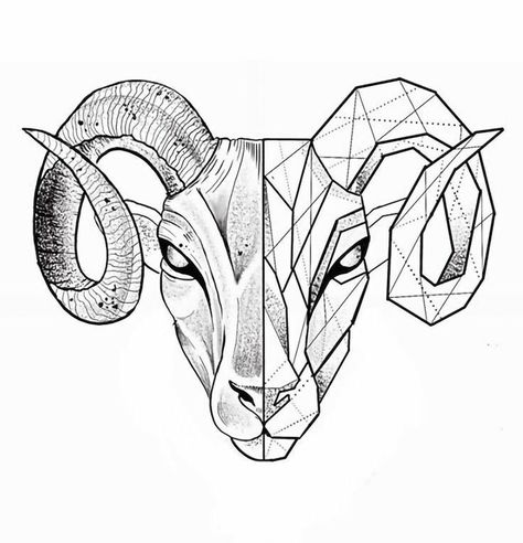 Geometric Goat Tattoo, Aries Drawing, Aries Symbol Tattoos, Tattoo Crane, Aries Zodiac Tattoos, Aries Ram Tattoo, Tattoo Main, Bull Skull Tattoos, Arte Aries