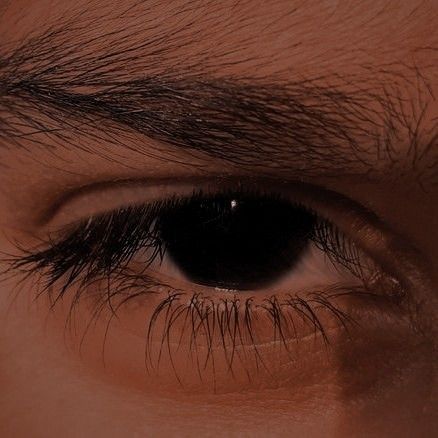 Danny Johnson, Brown Eyes Aesthetic, Brown Eye Boys, Dark Brown Eyes, In Distress, Male Eyes, Aesthetic Boy, Longer Eyelashes, Dark Eyes