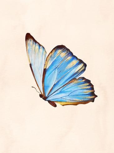 size: 12x9in Photographic Print: Blue Morphe Butterfly by Julia : Butterfly Art Painting, Blue Morpho Butterfly, Watercolor Butterfly, Butterfly Art Print, Butterfly Poster, Butterfly Quilt, Morpho Butterfly, Blue Morpho, Gold Watercolor