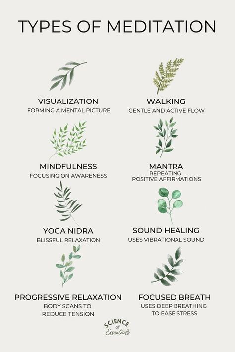 Forms Of Meditation, Meditation Words, Meditation Types, Mbsr Mindfulness, Nervus Vagus, Different Types Of Meditation, Benefits Of Meditation, Meditation Tips, Types Of Meditation