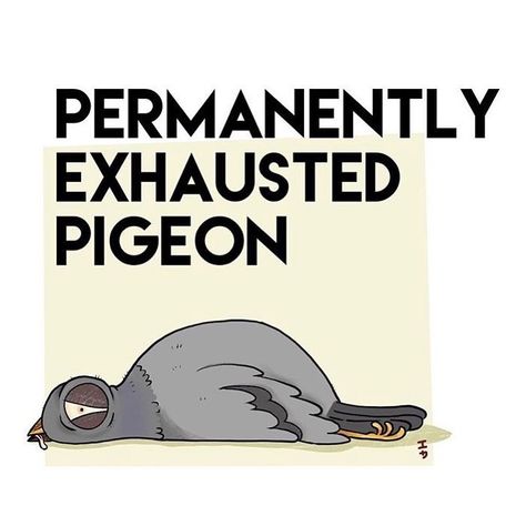 myillnessmythoughts Pigeon Meme, Permanently Exhausted Pigeon, Pigeon, Motivational Quotes