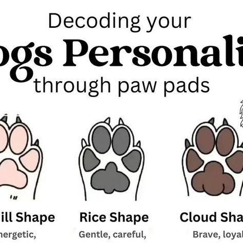 Matthews Legacy Farm | Goldendoodle Breeder on Instagram: "🐾 Did you ever think your dog’s paw pads held the secrets to their personality? ✨ What shape does your dog have? 🐶   #pawprint #goldendoodle #matthewslegacyfarm #pawpadgoldendoodles" Yeasty Dog Paws, How To Soften Dog Paw Pads, How To Get A Paw Print From Your Cat, Goldendoodle Generation Chart, Dog Paw Pads, Golden Doodle Dog, Goldendoodle Breeders, Shape Meaning, Dog Pads