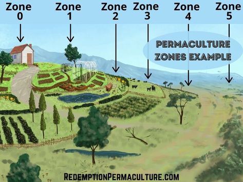 Food Forest Layout Permaculture Design, Farm Plans Layout Design, Permaculture Architecture, Agrotourism Ideas Farms, 5 Acre Homestead Layout, Hillside Farming, Permaculture Farming, Permaculture Farm, Homestead Layout