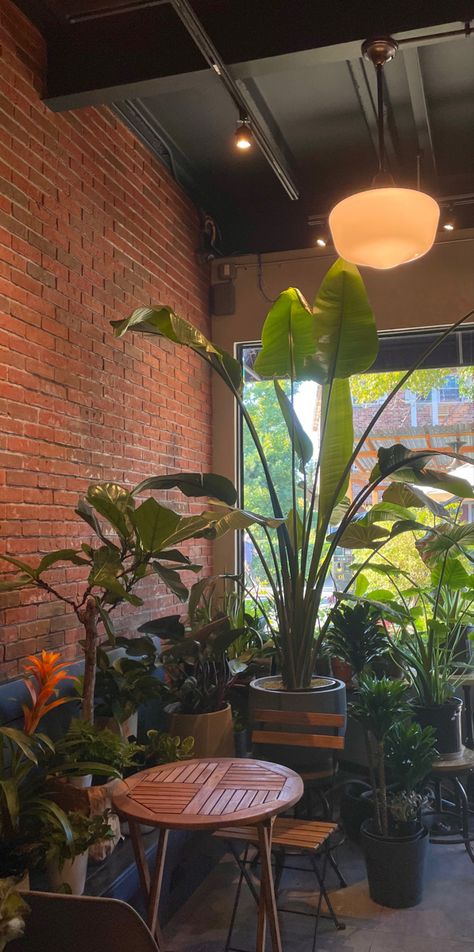 Flower Restaurant Interior Design, Plant Cafe Interior, Plant Cafe Aesthetic, Coffee And Plants Aesthetic, Cafe Aesthetic Green, Nyc Cafe Aesthetic, Green Cafe Aesthetic, Breakfast Cafe Aesthetic, Plant Coffee Shop