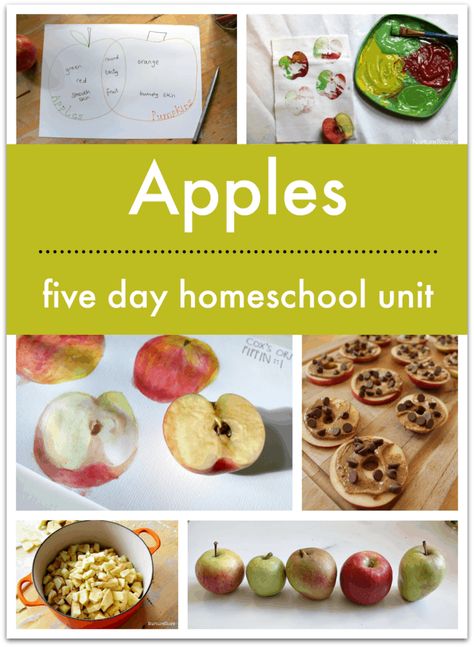 Free Apple Unit Study, Apples Unit 2nd Grade, Preschool Goals, Apple Lesson Plans, Apple Unit Study, Apple Kindergarten, School Works, Weekly Themes, Apple Lessons