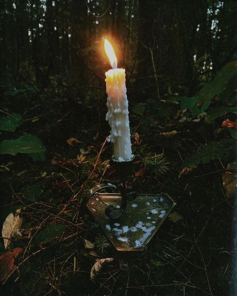 Forest Witch Aesthetic, Witch Photography, Bog Witch, Green Witch Aesthetic, Blackberry Picking, Forest Witch, Candle Magick, The Boogeyman, Dark Cottagecore